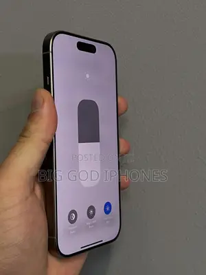 Apple iPhone 16 Pro 256 GB Silver
