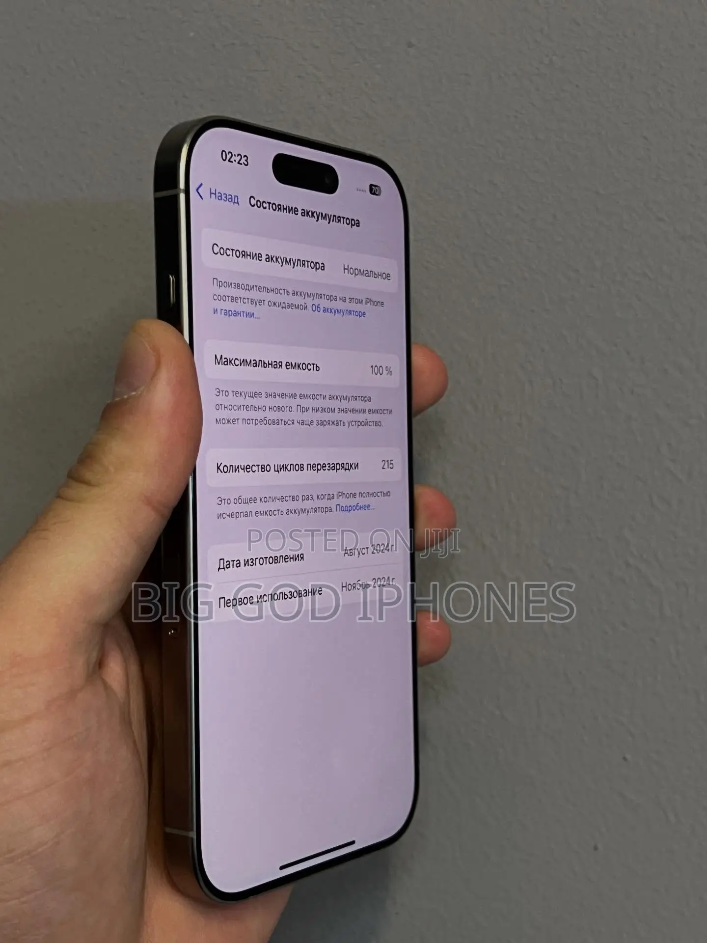 Apple iPhone 16 Pro 256 GB Silver