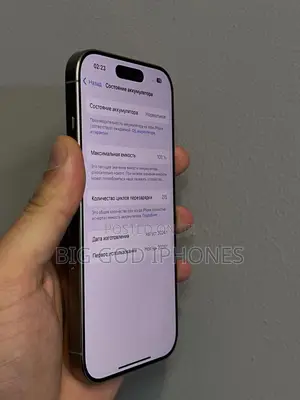 Apple iPhone 16 Pro 256 GB Silver