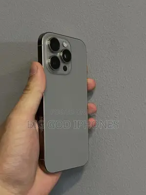 Apple iPhone 16 Pro 256 GB Silver