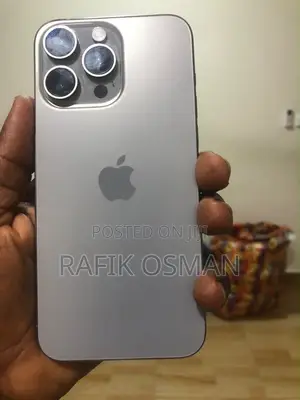 Apple iPhone 15 Pro Max 256 GB Silver
