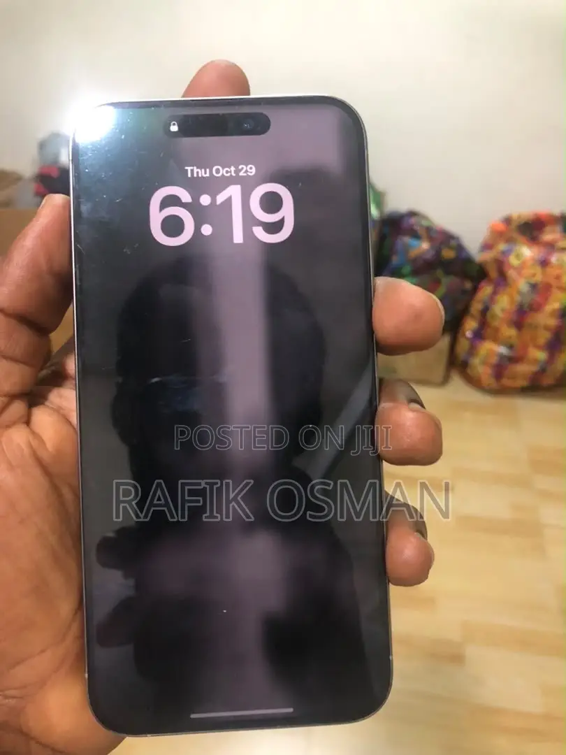 Apple iPhone 15 Pro Max 256 GB Silver