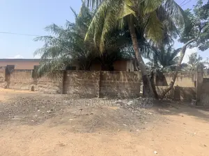 One Plot of Land for Sale at Obojo