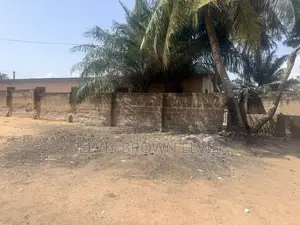 One Plot of Land for Sale at Obojo