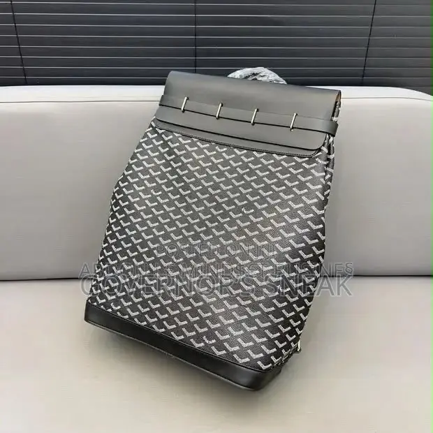 Goyard Steamer PM Backpack: 2 Colors in Stock