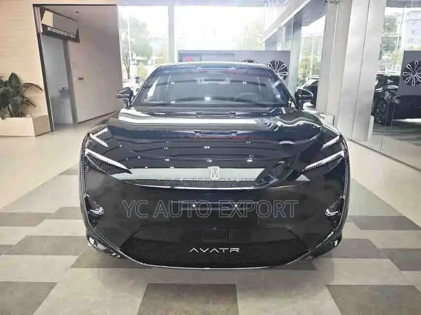 New Avatr 11 2025 Black