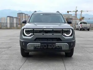 BAIC BJ30 2025 Gray