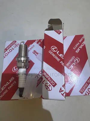 Original Denso Plugs