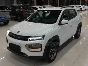 Dongfeng Nammi Box 31.45 kWh FWD 2024 White