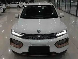 Dongfeng Nammi Box 31.45 kWh FWD 2024 White