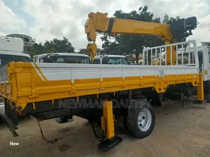 Hyundai Crane Truck