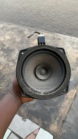 Car Door Speakers