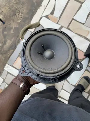Car Door Speakers