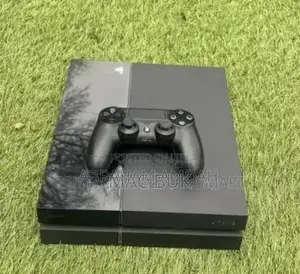 McHamz PlayStation Village