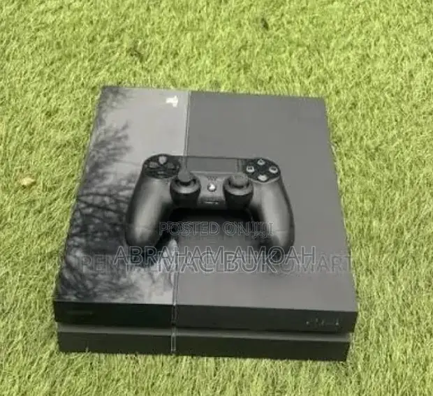 McHamz PlayStation Village
