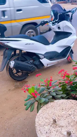 Honda 2024 White