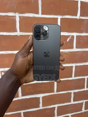 Apple iPhone 16 Pro Max 256 GB Black