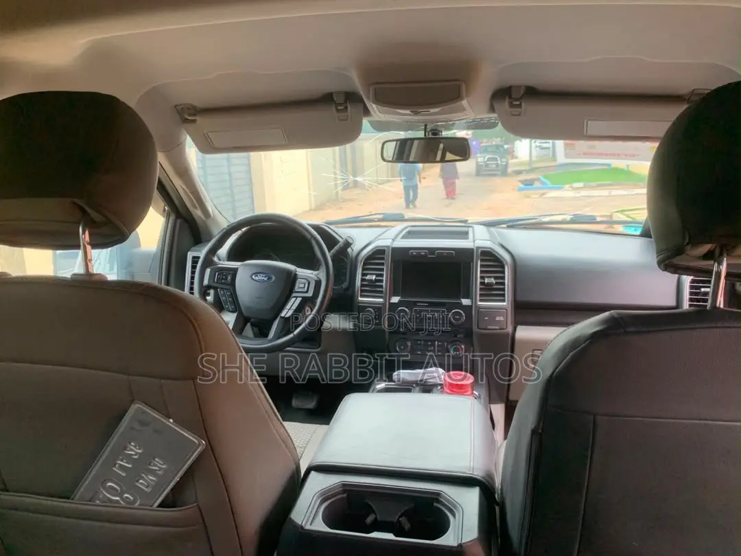 Ford F-150 2017 Brown