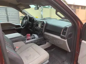 Ford F-150 2017 Brown