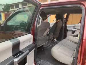Ford F-150 2017 Brown
