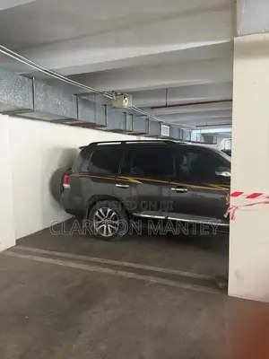 Toyota Land Cruiser 2011 Gray