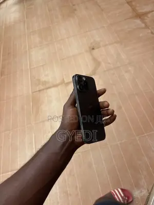 Apple iPhone 16 Pro Max 256 GB Black