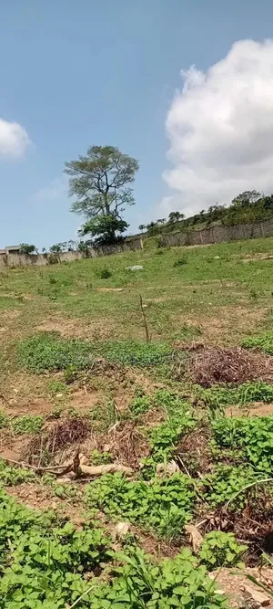 10 Plots of Land at Kwabenya Comet for Sale