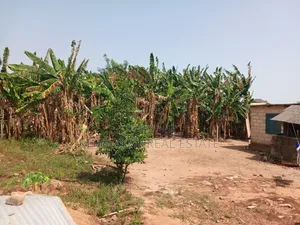 ONE and HALF Plot of LAND for SALE at Gbawe
