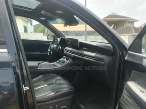 Hyundai Palisade Limited 2023 Black