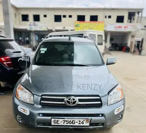 Toyota RAV4 2008 Gray