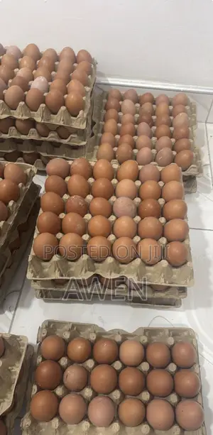 Fresh Farm Eggs