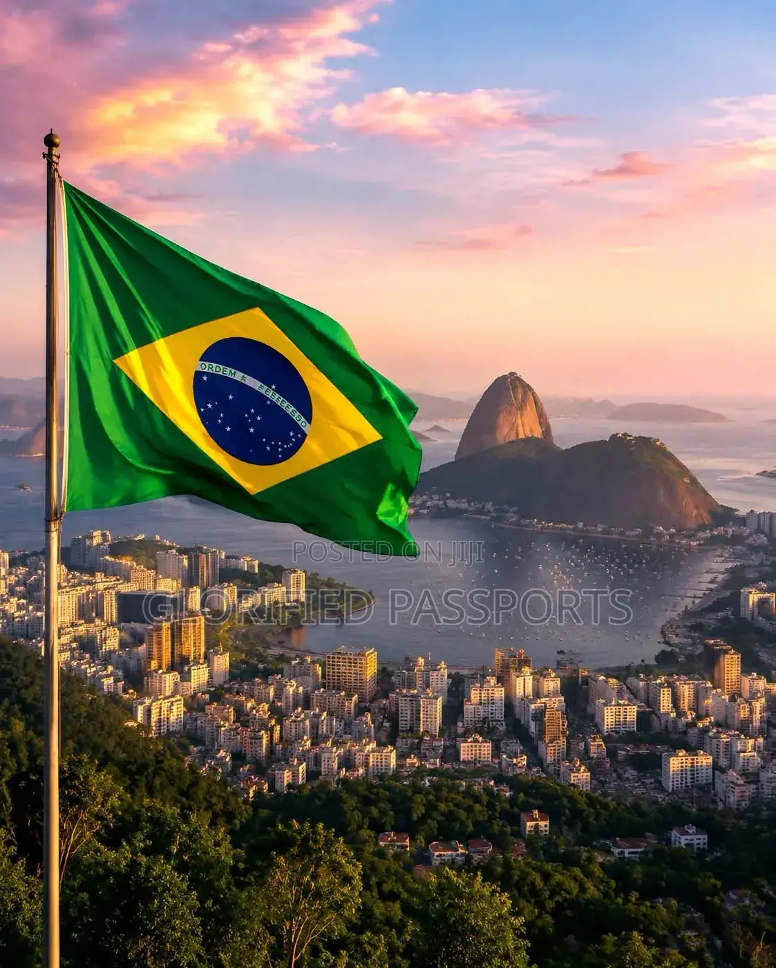 Live and Work in Brazil