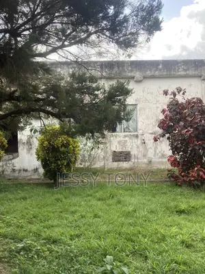 Warehouse and a Land of 90\100 for Rent