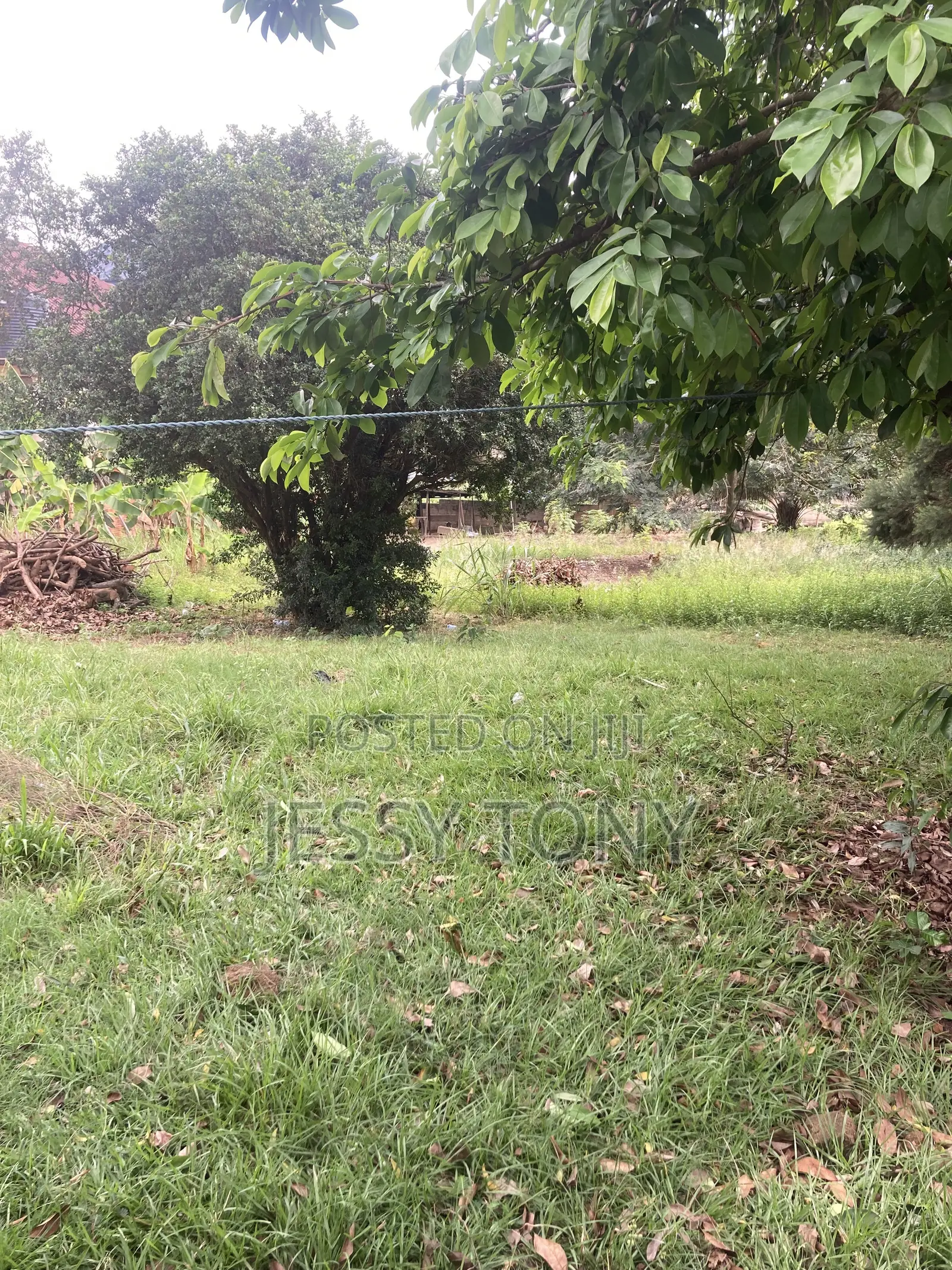 Warehouse and a Land of 90\100 for Rent