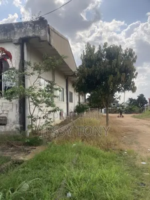 Warehouse and a Land of 90\100 for Rent
