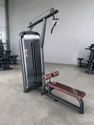 Lat Pull Down (Pin Loaded)