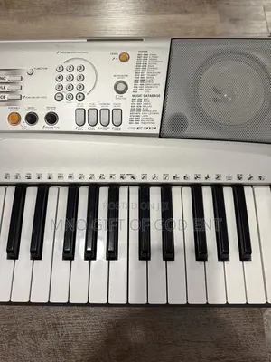 Yamaha Portatone PSR-E313 Portable 61-Key MIDI Electronic & Power Cord