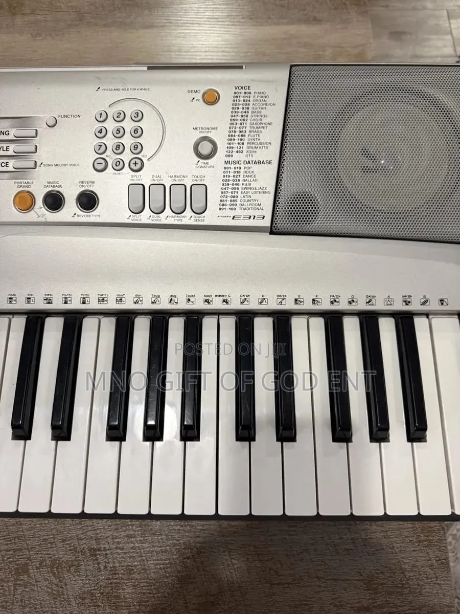 Yamaha Portatone PSR-E313 Portable 61-Key MIDI Electronic & Power Cord
