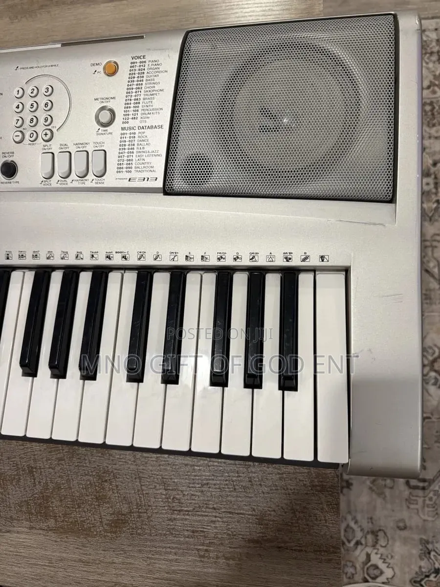 Yamaha Portatone PSR-E313 Portable 61-Key MIDI Electronic & Power Cord