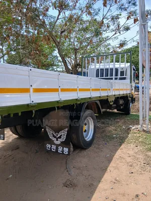 Hyundai Gold 5tons