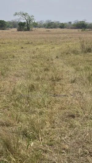 31 Acres of Land