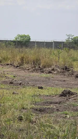 31 Acres of Land