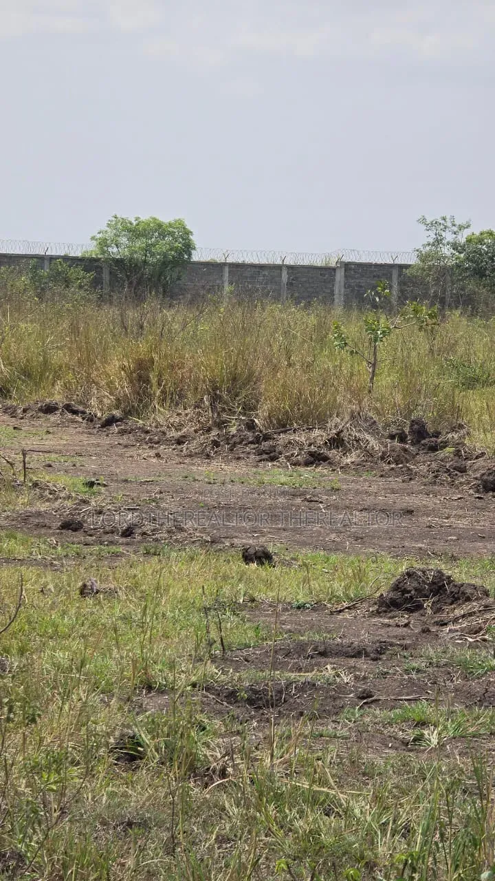 31 Acres of Land