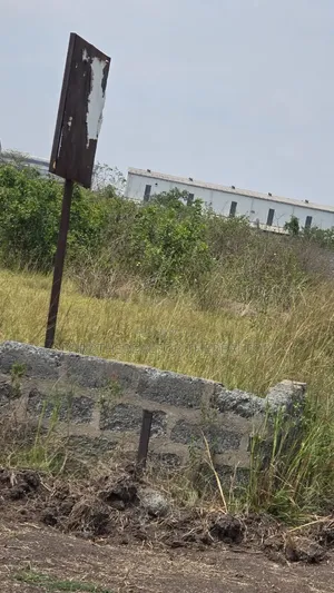 31 Acres of Land