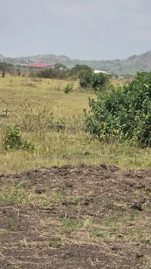 31 Acres of Land