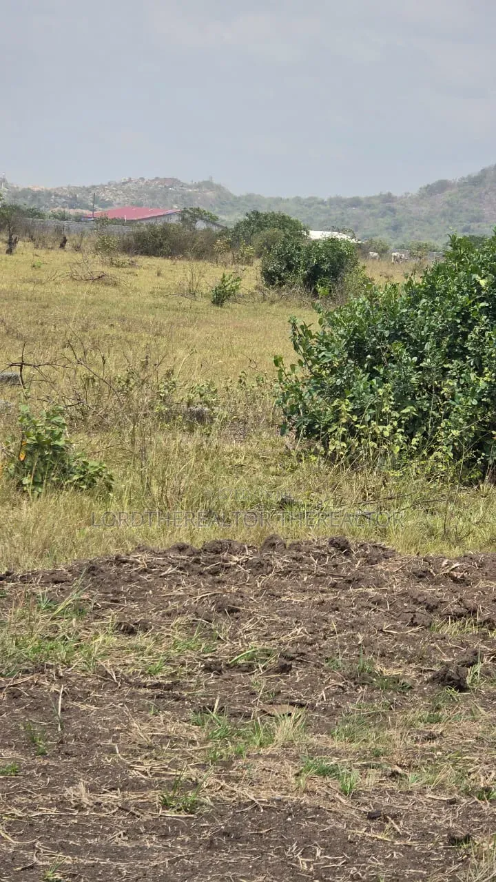 31 Acres of Land