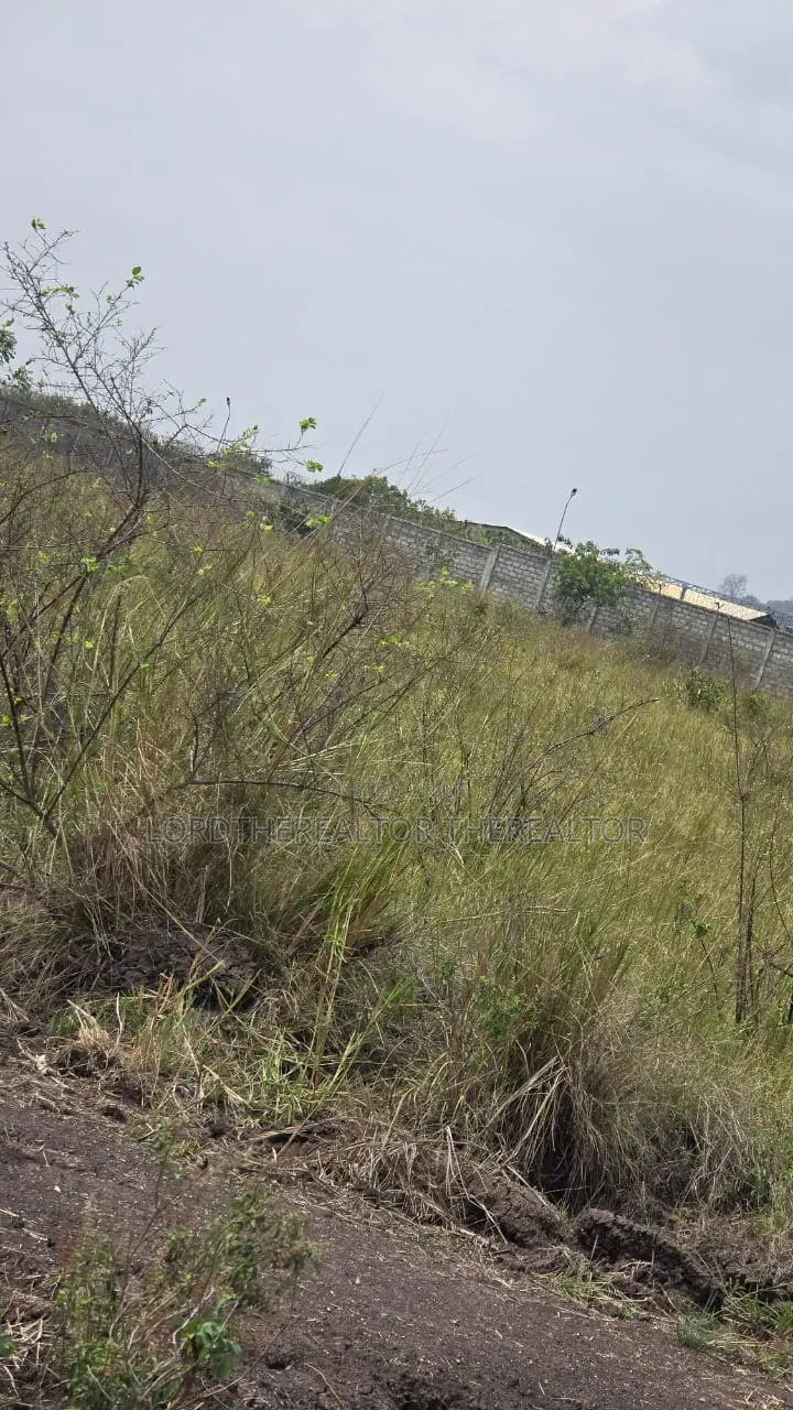 31 Acres of Land