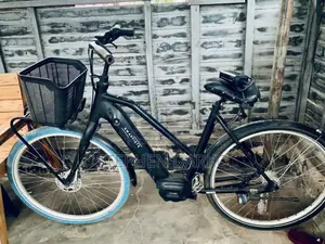 Affordable Swapfiets Electric Bike