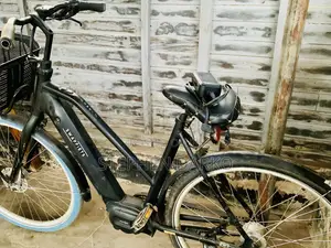 Affordable Swapfiets Electric Bike