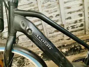 Affordable Swapfiets Electric Bike
